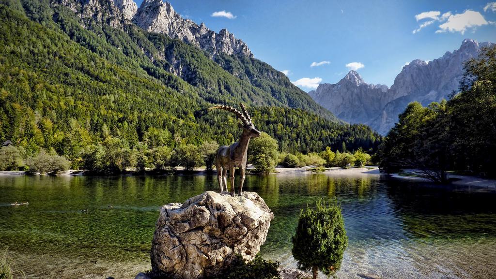 Apartment Mojstrovka With Terrace In City Center Kranjska Gora Pokój zdjęcie